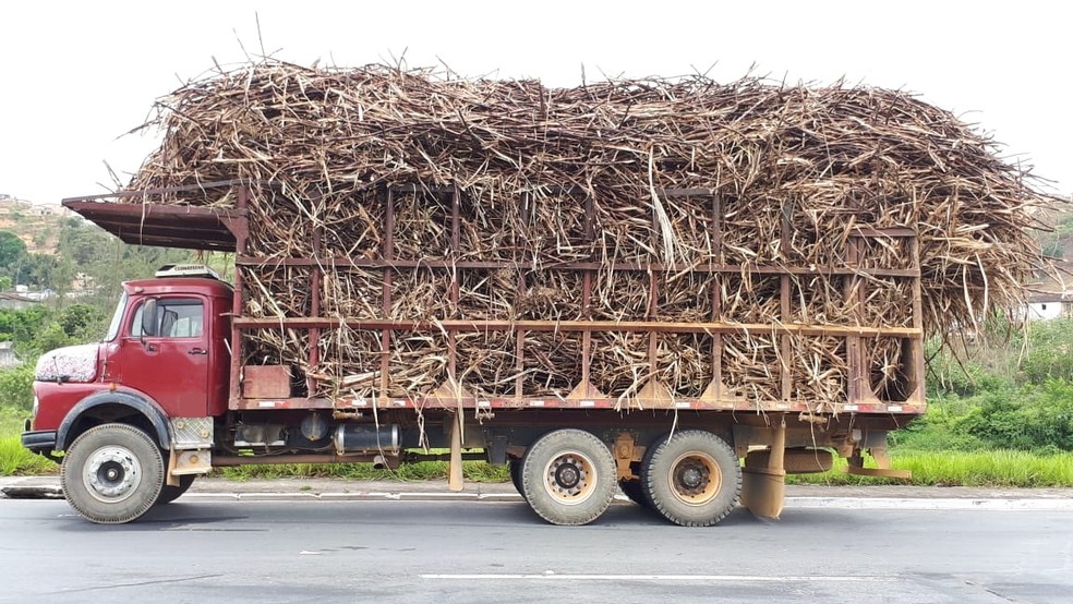 CaminhÃµes que transportam cana-de-aÃ§Ãºcar foram autuados em RibeirÃ£o, na Zona da Mata de Pernambuco â€” Foto: PolÃ­cia RodoviÃ¡ria Federal/DivulgaÃ§Ã£o