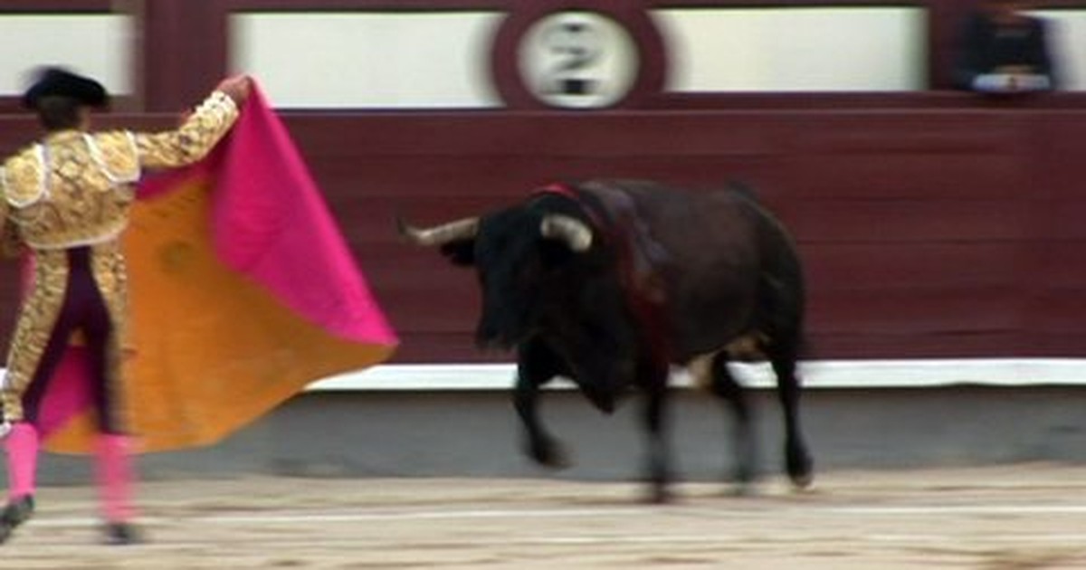 Público de touradas na Espanha cai pela metade em menos de uma década -  15/08/2019 - Cotidiano - Folha