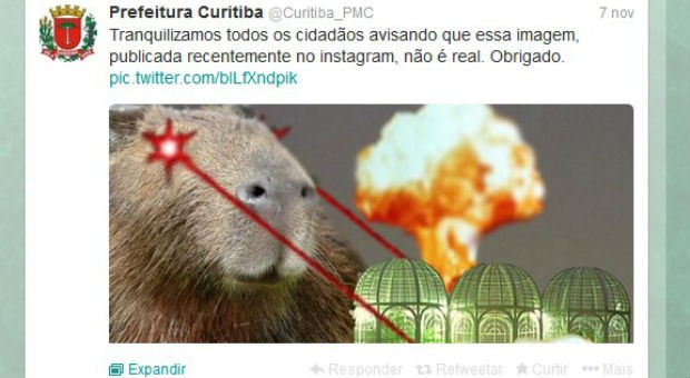 meme da capivara