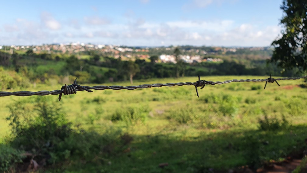 Áreas cercadas devem também ser cuidadas para que não percam diversidade — Foto: Stephanie Fonseca/g1
