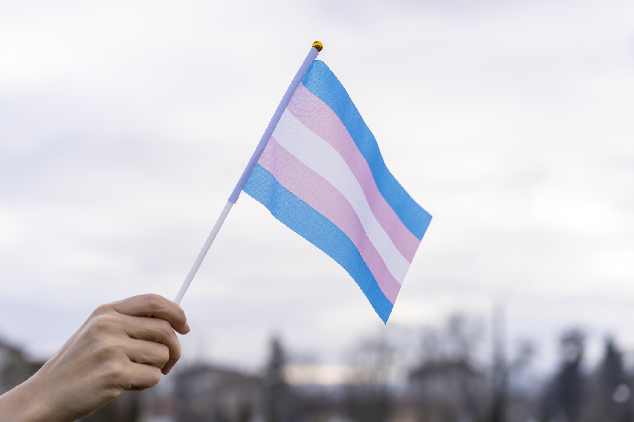 Bandeira trans (Foto: Getty Images)