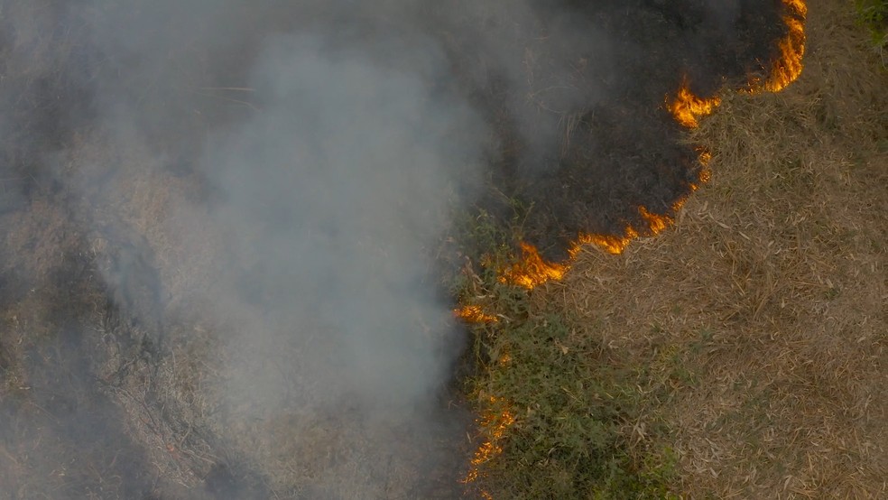 Primeiro incêndio de grande proporção no Pantanal consome vegetação nativa e área de pastagem — Foto: Ipam