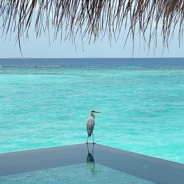 Fabiana Justus mostra quarto em hotel de luxo nas Maldivas (Foto: Reprodução/Instagram)