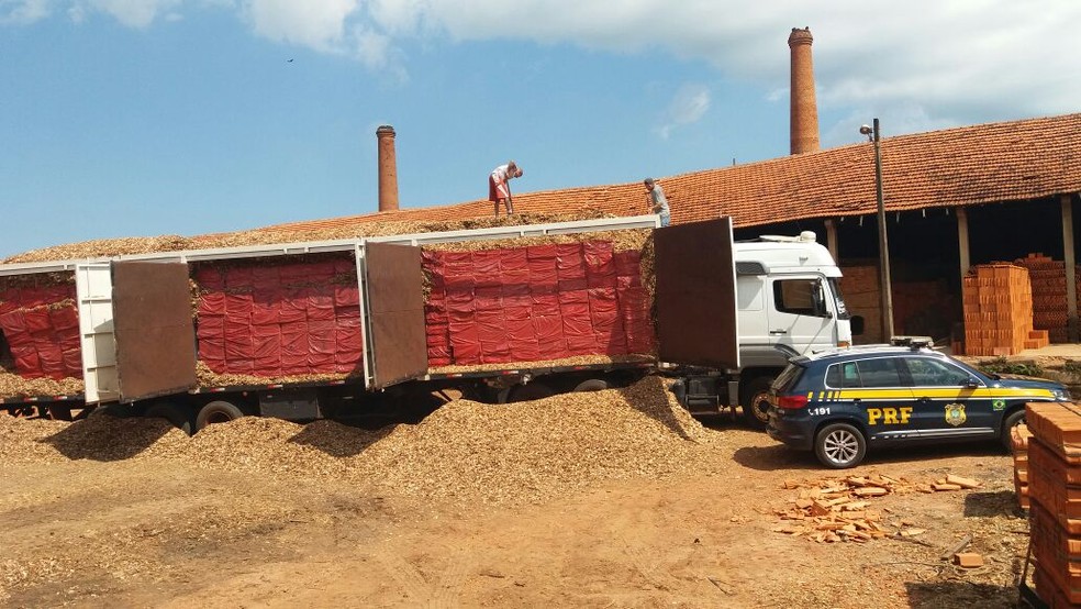 Ao todo, foram apreendidos 450 mil maços de cigarro (Foto: Polícia Rodoviária)