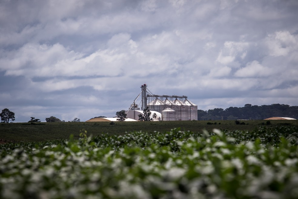 Lavoura em Mato Grosso — Foto: Andre Romeu/Secom-MT