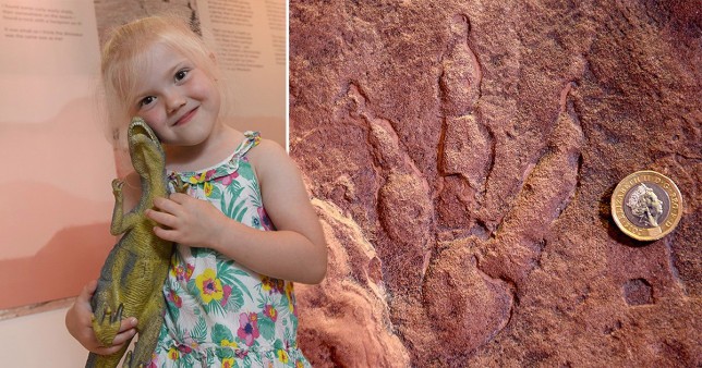 Lily encontrou pegada de dinossauro de 220 milhões de anos (Foto: Serviço de Notícias do País de Gales/Reprodução Metro)