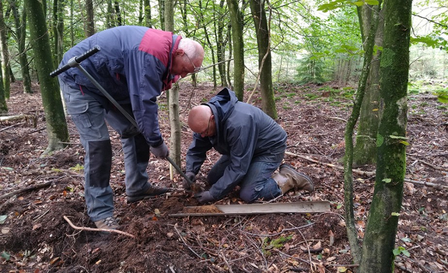 Voluntários coletando amostras de solo na floresta de Speulderbos, perto do vale de Veluwe
