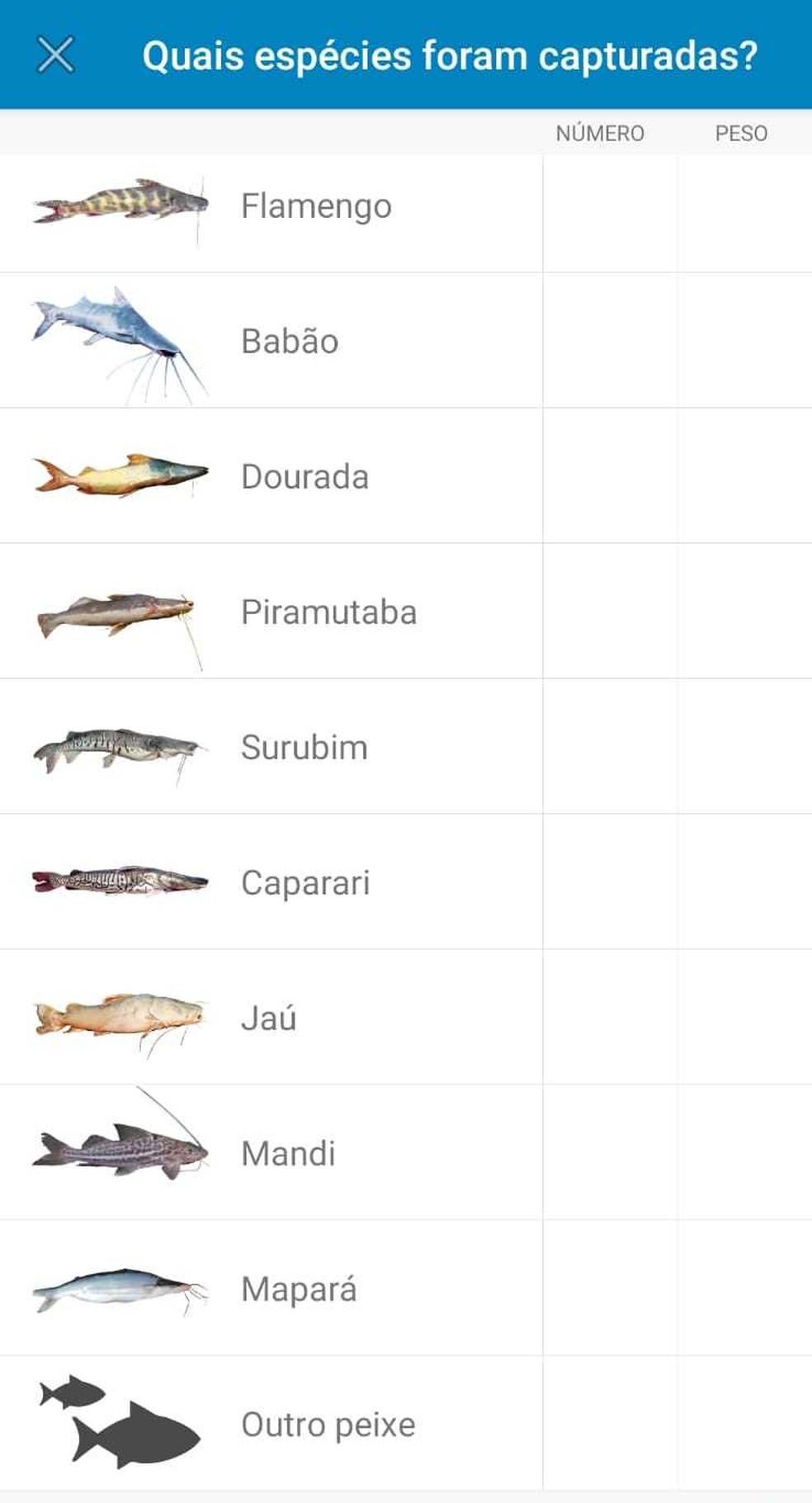 Catálogo de peixes do aplicativo Ictio. — Foto: Reprodução 