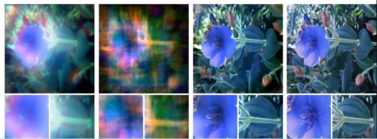 Fotos experimentais de flor durante o desenvolvimento da mini câmera (Foto: Felix Heide et.al )