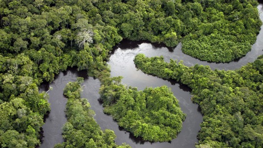 Um plano para a Amazônia nos 100 primeiros dias de governo 