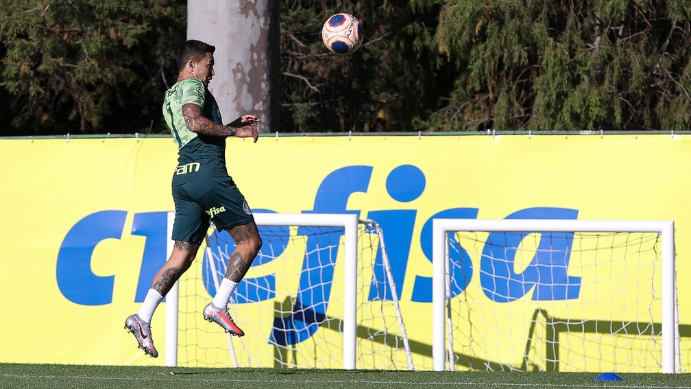 Dudu durante treinamento na Academia do Palmeiras — Foto: Cesar Greco / Ag. Palmeiras