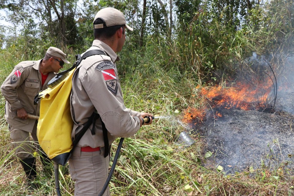 50 militares irão compor as Guarnições em Combate a Incêndio Florestal (GCIF´s), sendo cada equipe formada por especialistas do Corpo de Bombeiros Militar e apoio do Exército Brasileiro.  — Foto: Agência Pará
