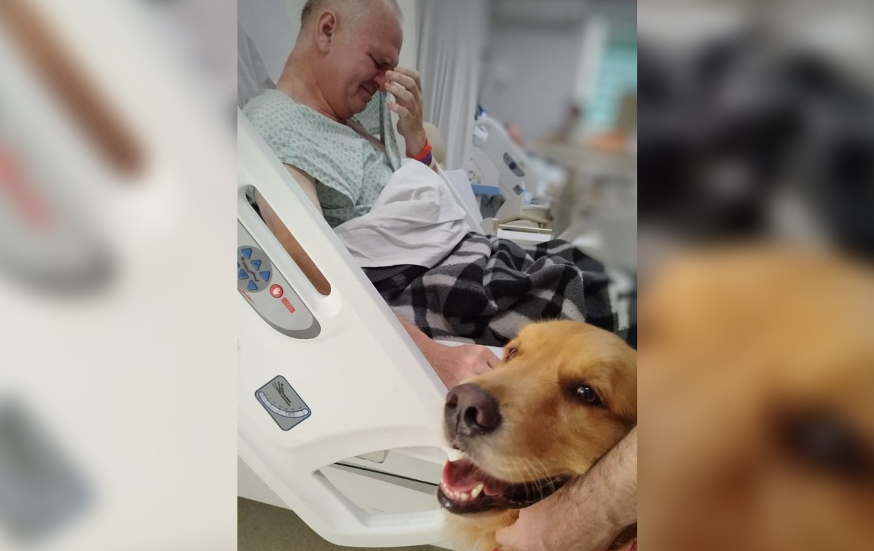 Aposentado recebe visita de cão-guia durante internação em hospital e se emociona: 'Renovou minha esperança'