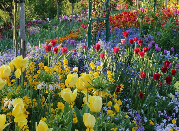 O colorido das variadas composições de flores criam um cenário único e especial pensado pelo artista (Foto: Fondation Monet / Reprodução)