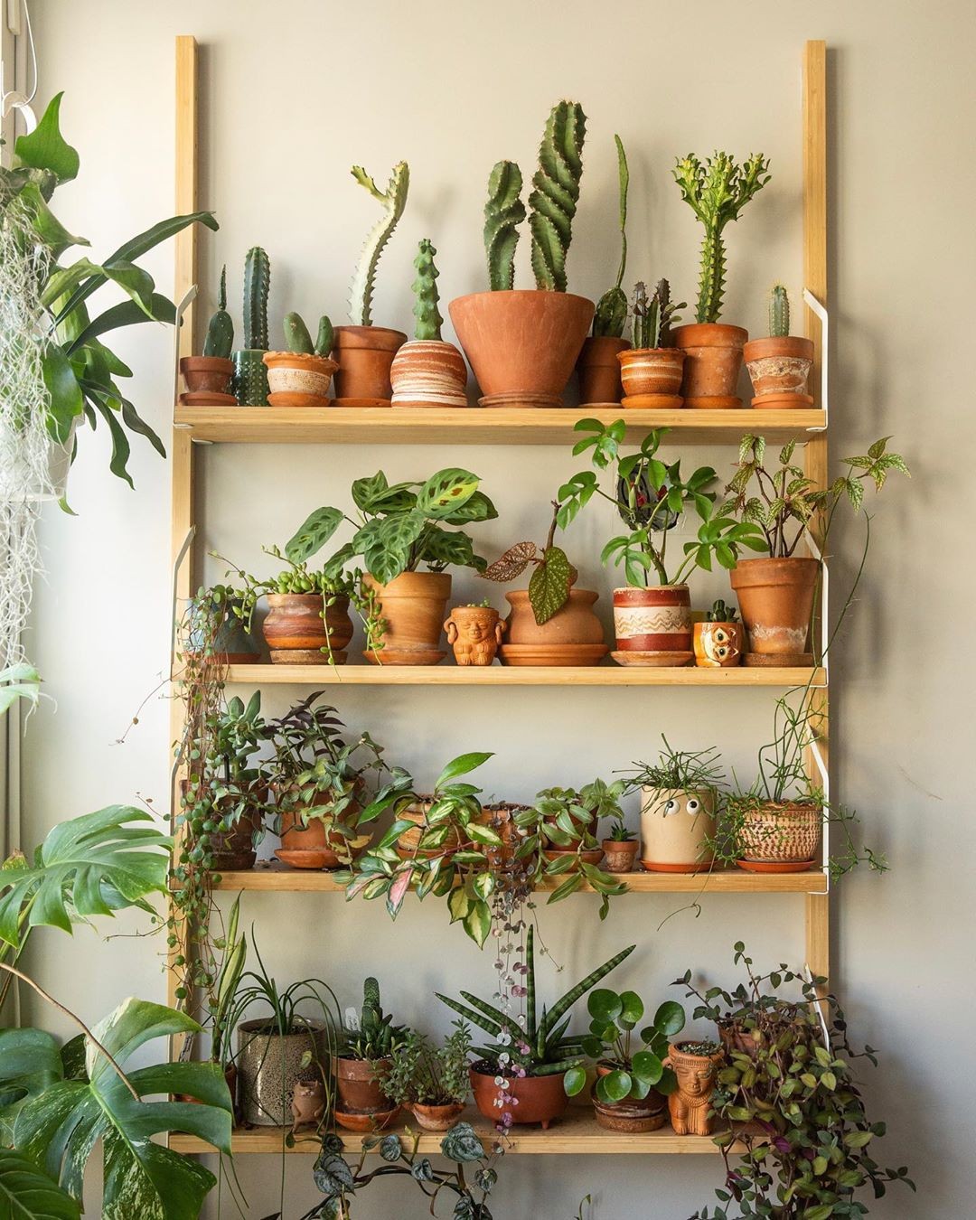 Conversar com plantas ajuda elas crescerem? Veja o que dizem especialistas (Foto:  Instagram/@welcometothejunglehome)