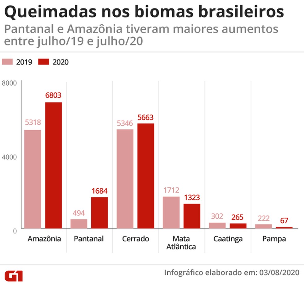 Gráfico mostra comparação das queimadas nos biomas brasileiros entre julho de 2019 e julho de 2020 — Foto: Juliane Monteiro/G1
