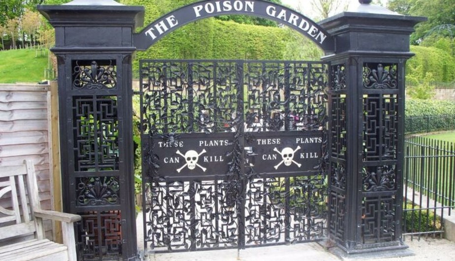 Poison Garden: o jardim mais perigoso do mundo que só cultiva espécies venenosas