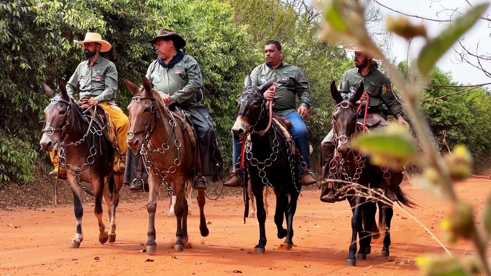 Fãs das cavalgadas embarcam em aventura de mais de 100 quilômetros— Foto: Reprodução/TV TEM 