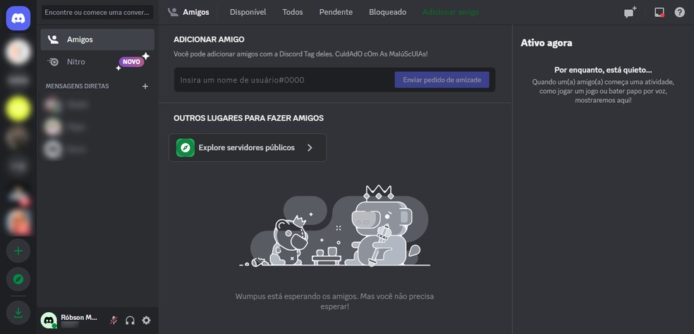 Após redefinir a senha, sua conta será conectada automaticamente ao Discord — Foto: Reprodução/Róbson Martins