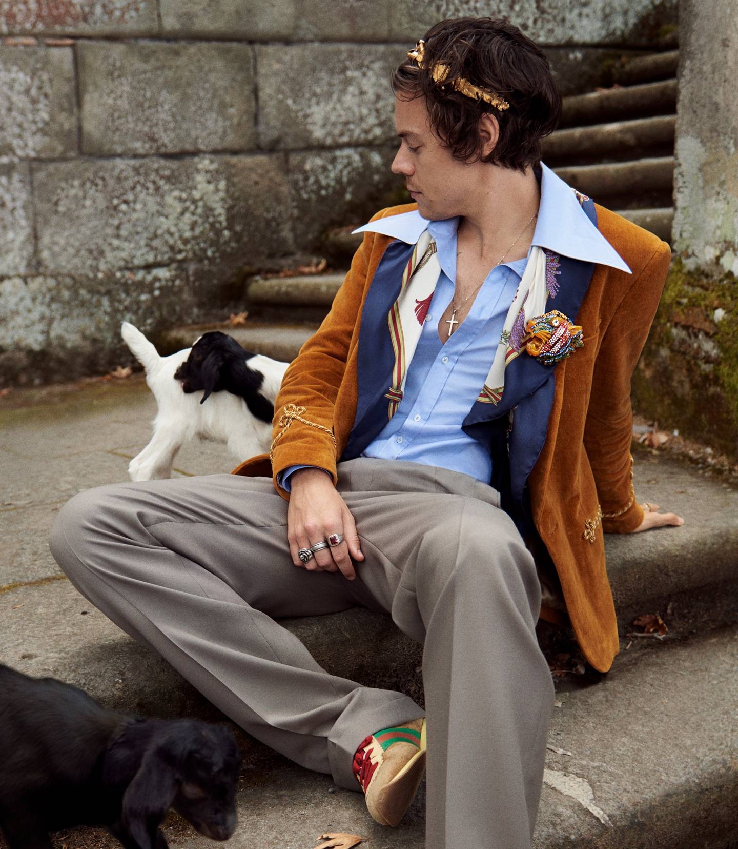 Harry Styles na nova campanha da Gucci (Foto: Divulgação)