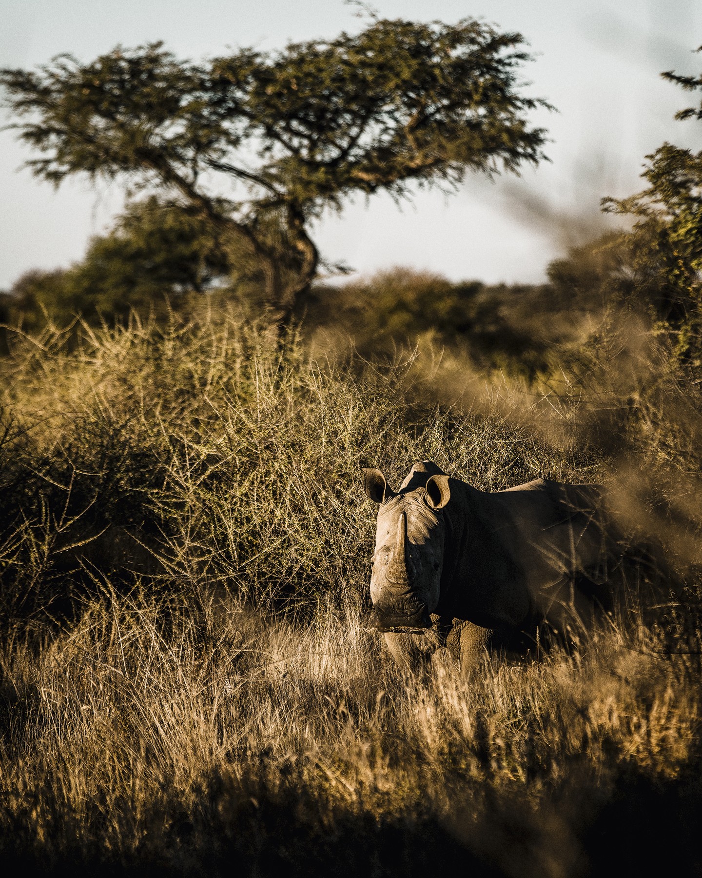 Turismo na Namíbia: você precisa conhecer esse país de paisagens desérticas  (Foto: Michael Turek, Zannier Hotels e divulgação)