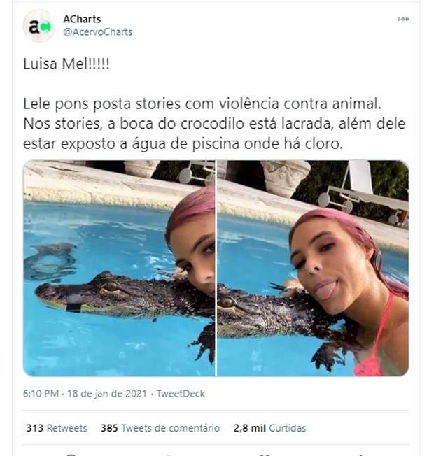 Lele Pons é detonada na web por nadar com jacaré amordaçado (Foto: Reprodução/Instagram)