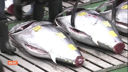 'Rei do atum' paga US$ 1,8 milhão por exemplar de 276 kg no Japão