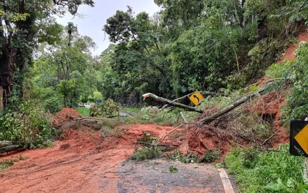 Barreiras caem e interditam BR-354, em Pouso Alto (MG) — Foto: Redes sociais