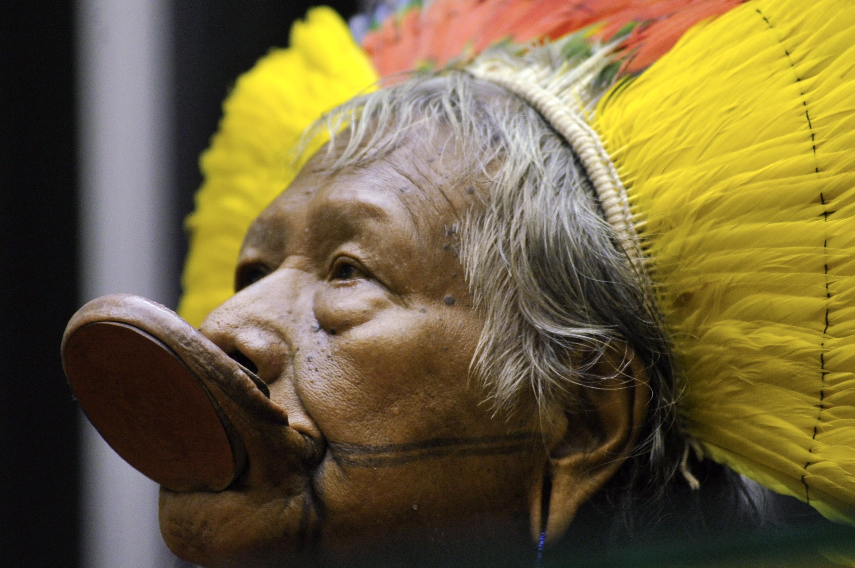 O cacique Raoni Metuktire dedica a vida a defender a Amazônia e os povos indígenas (Foto: Wikimedia Commons)