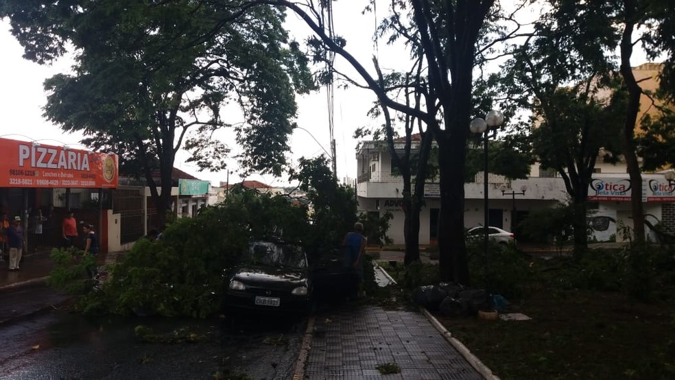 Chuva provocou queda de galhos de árvores em Bauru — Foto: Marco Previdello/TV TEM