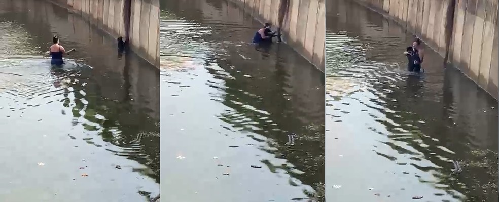 Alessandra viu o cachorro se afogando e entrou no "piscinão" para salvá-lo — Foto: Redes Socias
