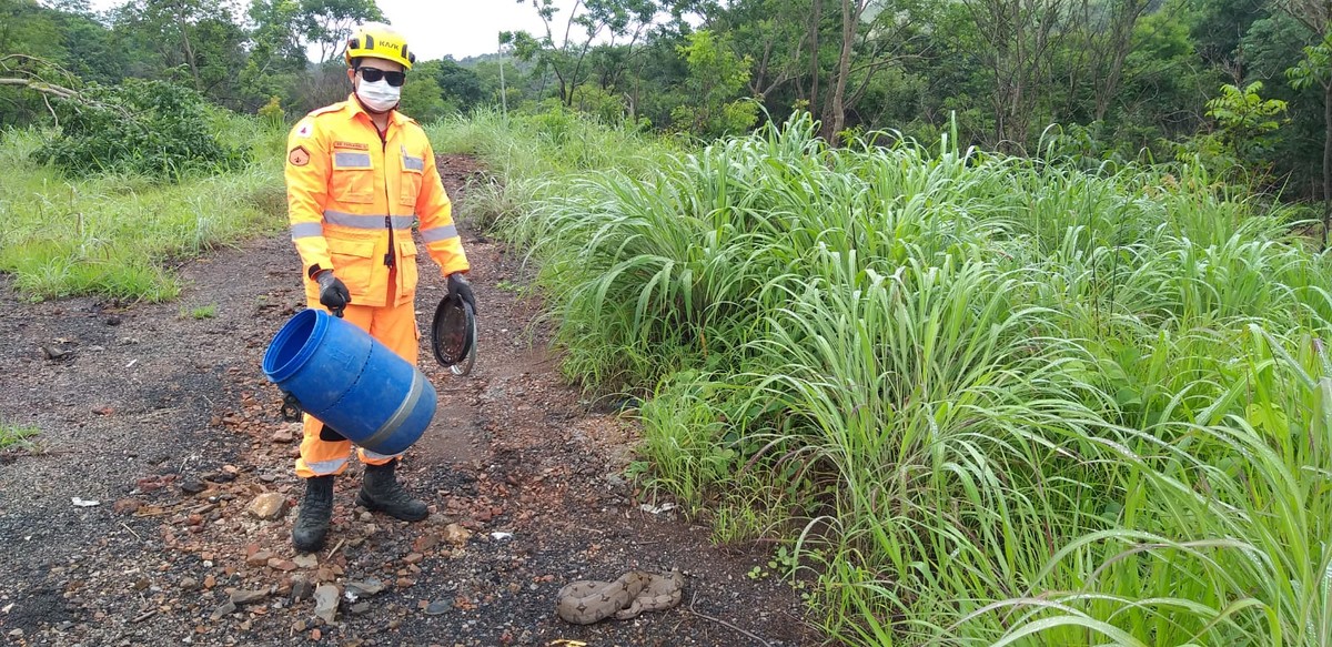 Bombeiros fazem captura de duas jiboias em Montes Claros