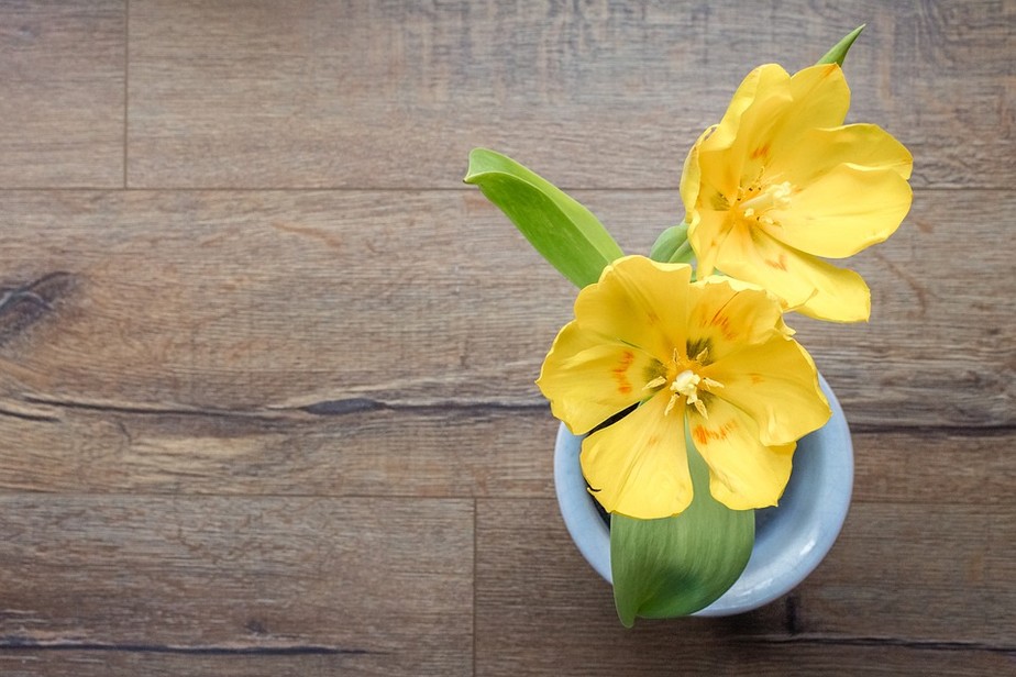 Aprenda a usar flores e outros elementos em amarelo e azul para decorar festas e eventos