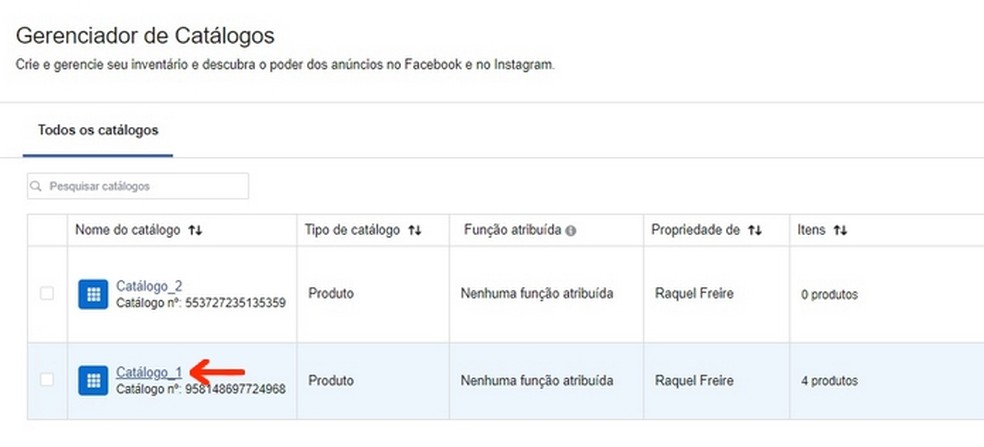 Vinculação de catálogo do Facebook à conta comercial do Instagram — Foto: Reprodução/Raquel Freire