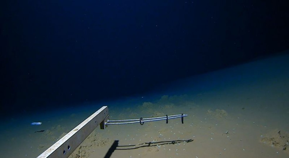 Peixe filmado a maior profundidade pode ser visto no canto esquerdo inferior da imagem — Foto: Minderoo-UWA Deep Sea Research Centre via BBC