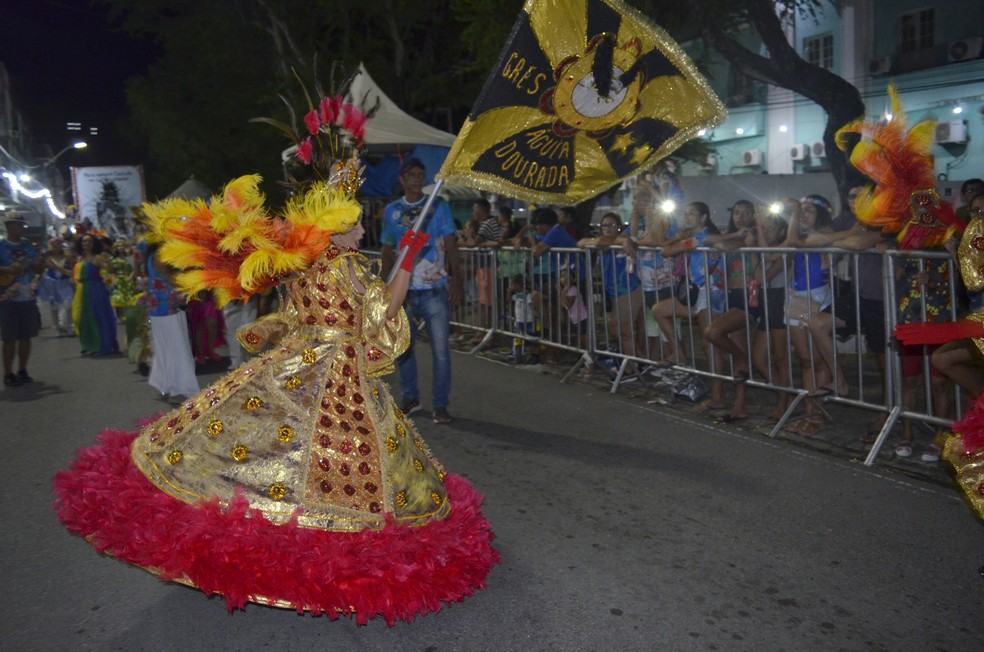 Águia Dourada foi a campeão do carnaval de Natal em 2020 — Foto: Secom/Arquivo