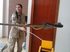 Bombeiros resgatam serpente de 2 metros de dentro de fogão em Vilhena