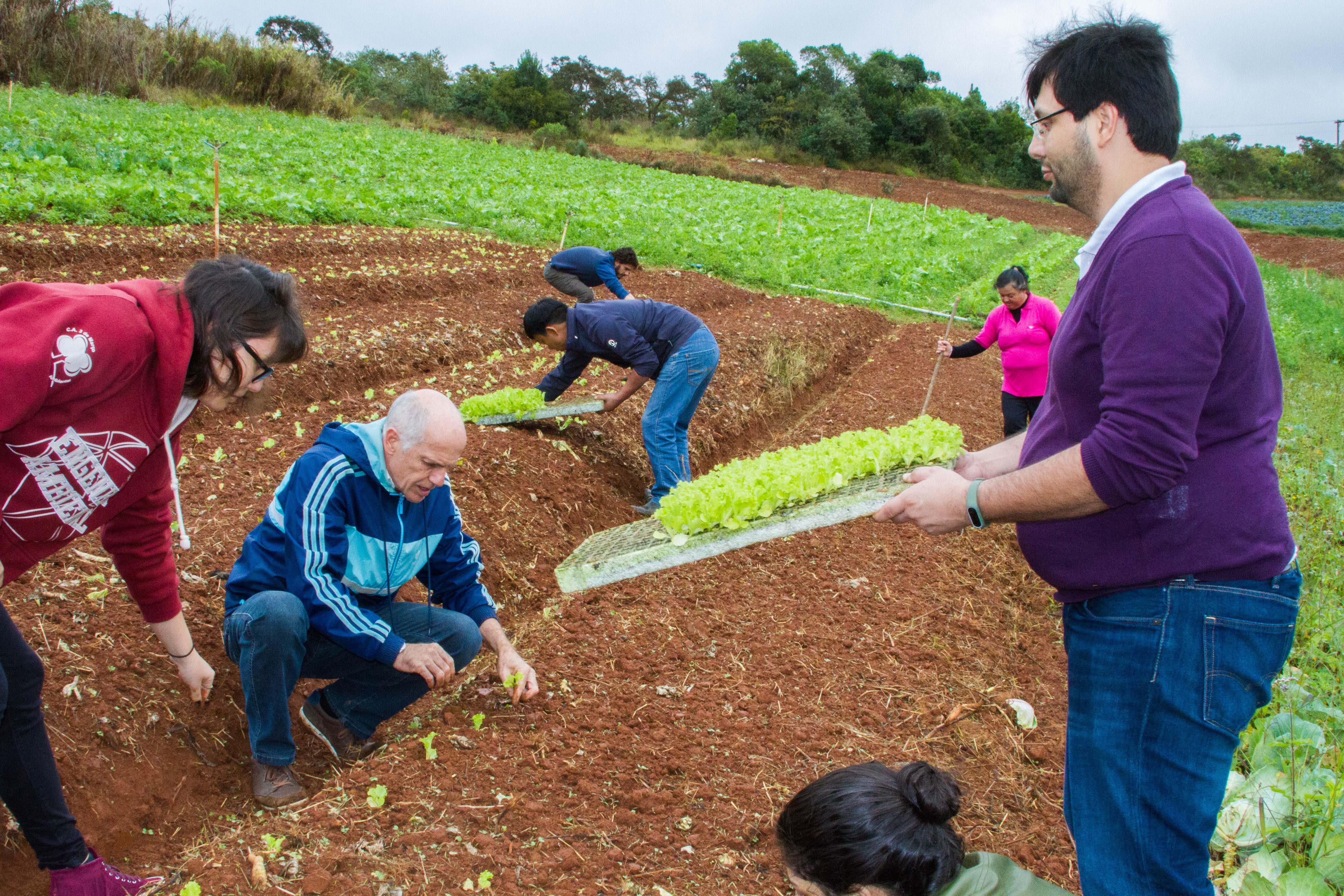 projeto boa na mesa (Foto: FGVces/Divulgação)