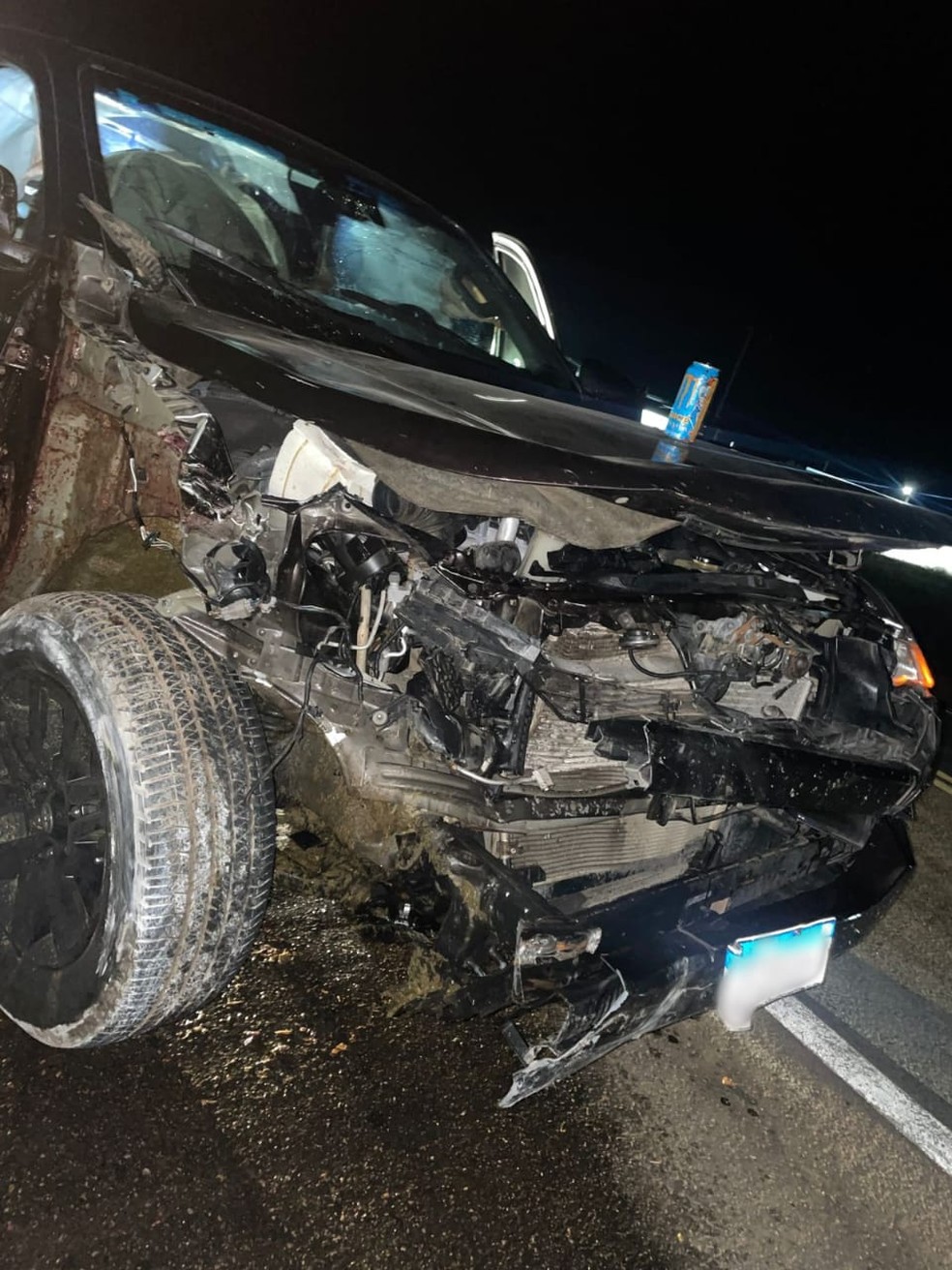 Carro usado por deputado federal após colisão com animal na BR-304, no RN — Foto: Cedida