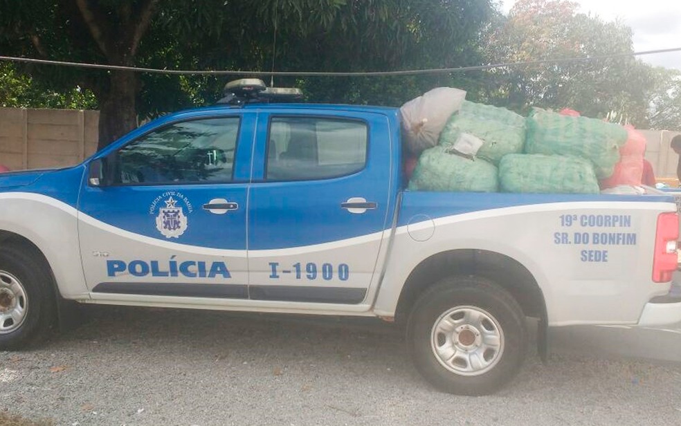 Drogas incineradas foram apreendidas no ano de 2017 (Foto: Divulgação/Polícia Civil)
