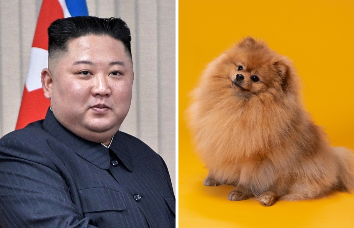 Notícia de veículo sul coreano sobre a proibição de cães na Coréia do Norte volta a viralizar depois de 2 anos (Foto: Wikipedia / Creative Commoms; Canva / Creative Commoms)
