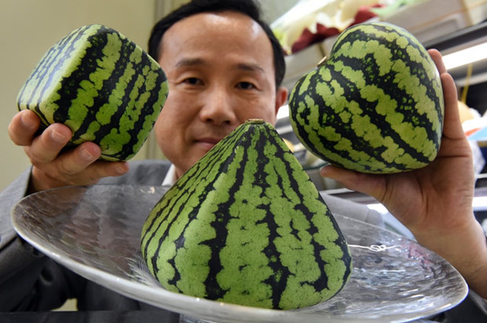 Melancias em formatos de coração, pirâmide e "quadrada" são atração da loja de frutas de luxo no Japão — Foto: Toru Yamanaka/AFP