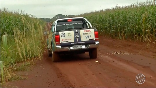 Expedição percorre plantações de milho em MS; produção deve chegar a 9,5 milhões de toneladas 