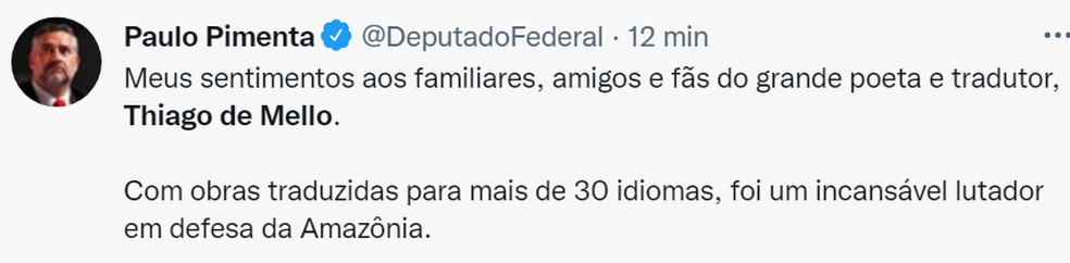 Deputado Paulo Pimenta usou as redes sociais para comentar.  — Foto: Reprodução/Twitter