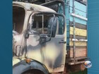Caminhão para furtar bois atola e ladrões desistem de crime em SP