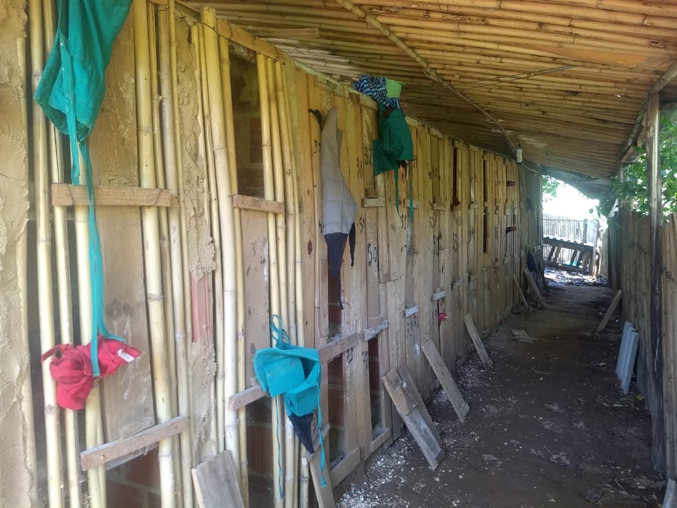 Rinha de galo funcionava em uma casa na zona rural de Natividade, no RJ  — Foto: Divulgação/Polícia Ambiental 