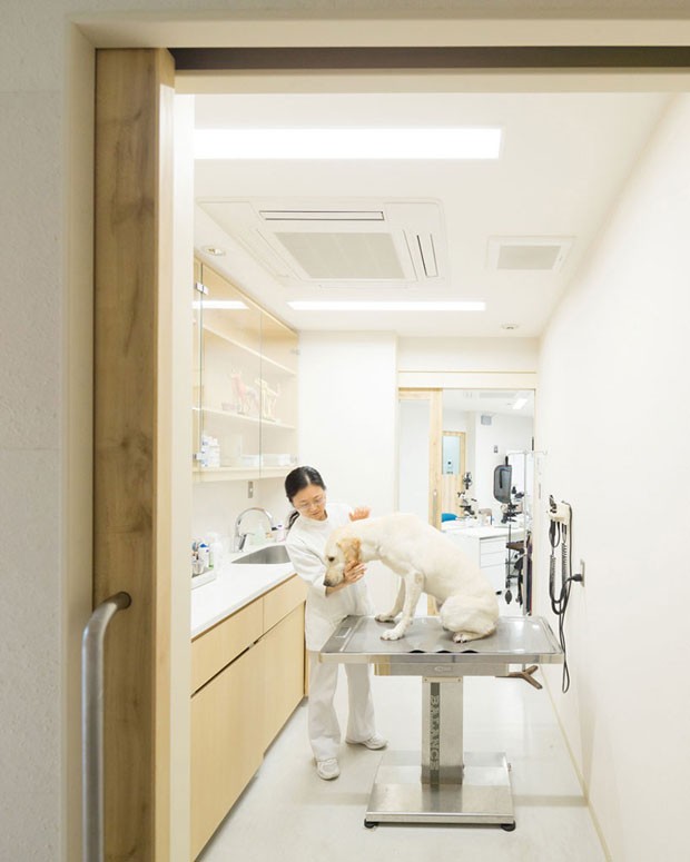 Kengo Kuma assina Hospital Veterinário no Japão (Foto: Masao Nishikawa / cortesia de Kengo Kuma and Associates)