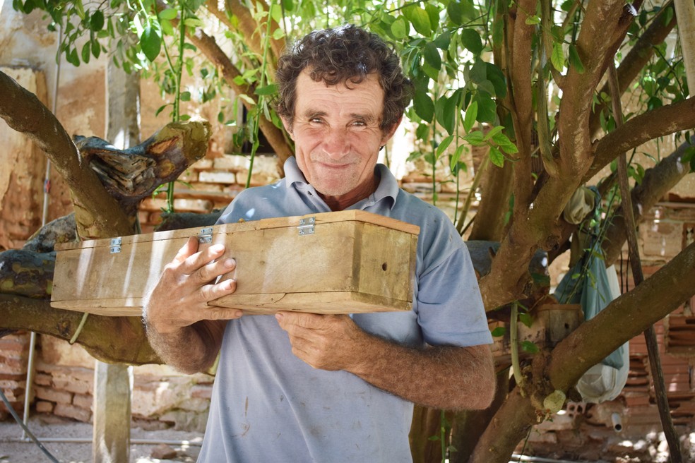 Projeto dobra produção de mel de associação em comunidade rural no interior do RN — Foto: Divulgação