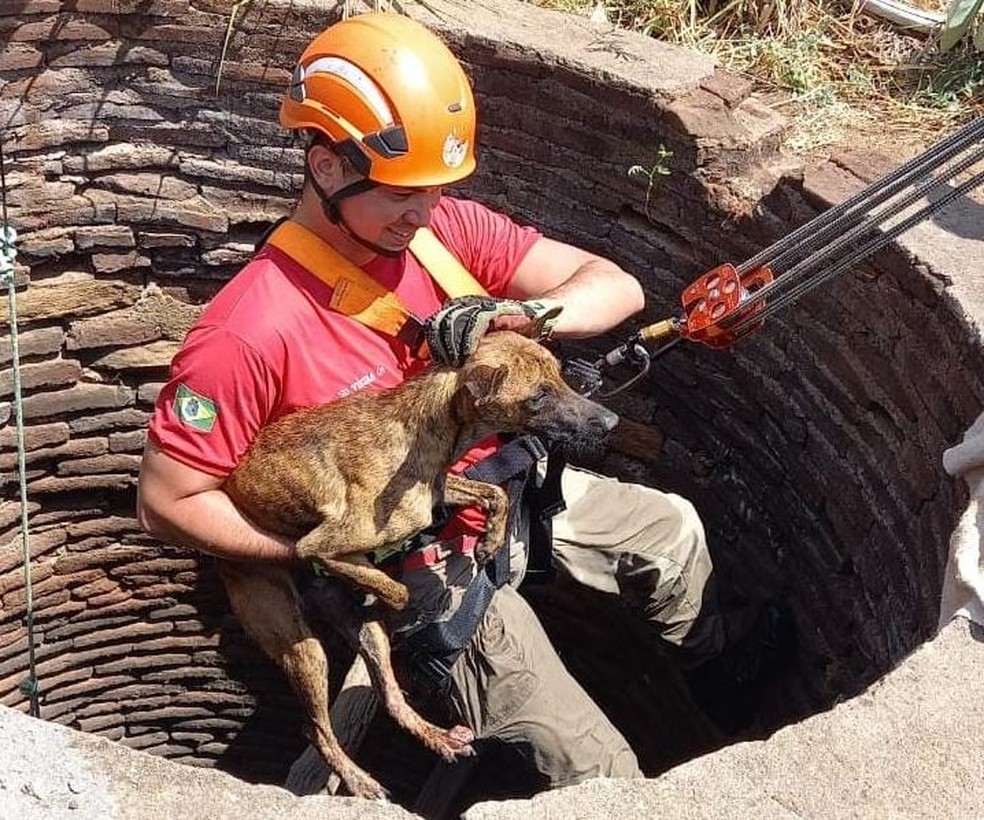 Bombeiro desceu na cacimba para resgatar o cachorro que caiu na cacimba de um sítio na zona rural de Canindé. — Foto: Corpo de Bombeiros/ Divulgação