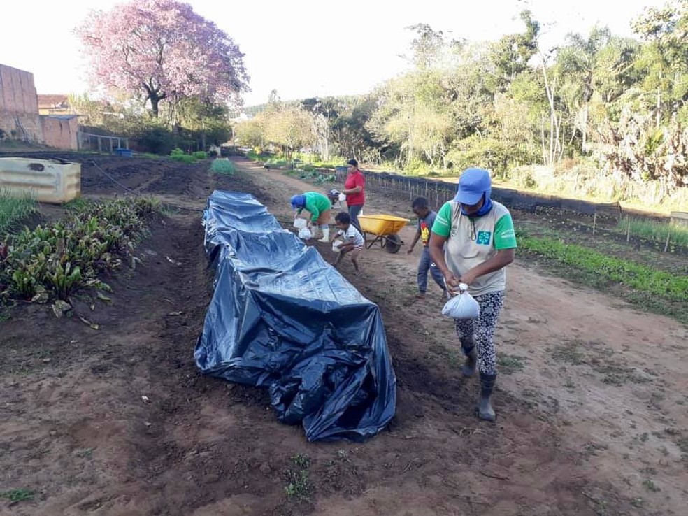 Voluntárias da Horta Cheiro Verde em Itatinga cobriram canteiros com plásticos para proteger as hortaliças  — Foto: Prefeitura de Itatinga/ Divulgação